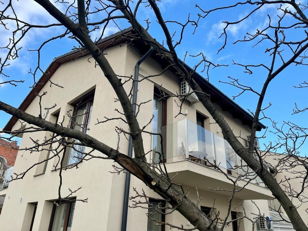 Nature In The City Lower Storey Bestern Σέγκεντ Εξωτερικό φωτογραφία